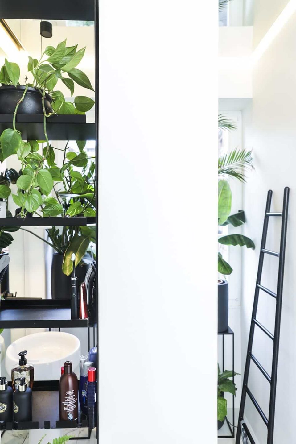 apartment-g4-image-17